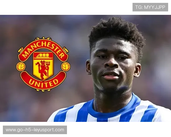 曼联对巴莱巴兴趣冷却，安德森突起成首选