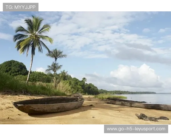 苏里南举办国际登山运动节，苏里南地理