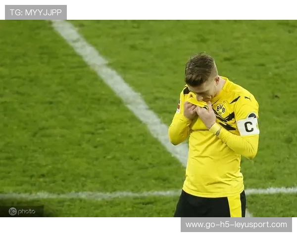 泰尔齐奇回归，球队展望更加光明，泰尔si