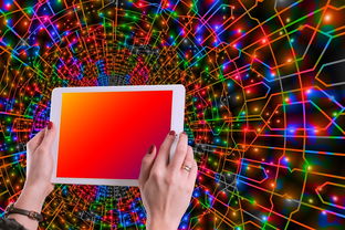 乐鱼在线-体育新闻中心主办体育类数字创作者发展研讨会，体育产业数字化创新